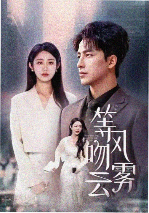 免费高清电视剧在线观看 风起陇西